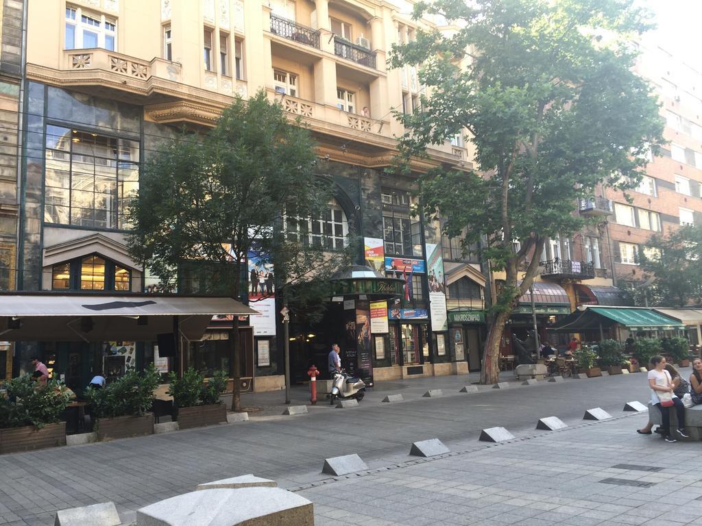 Apartment Near Opera In Downtown *